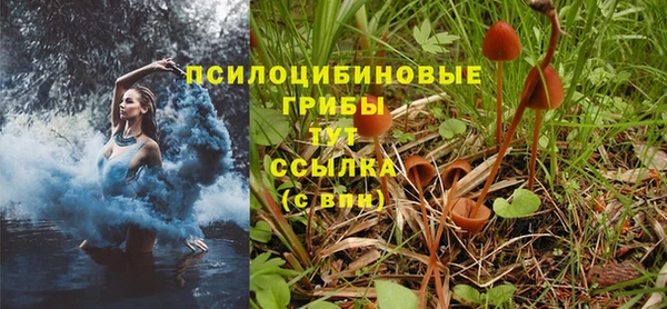 каннабис Алзамай