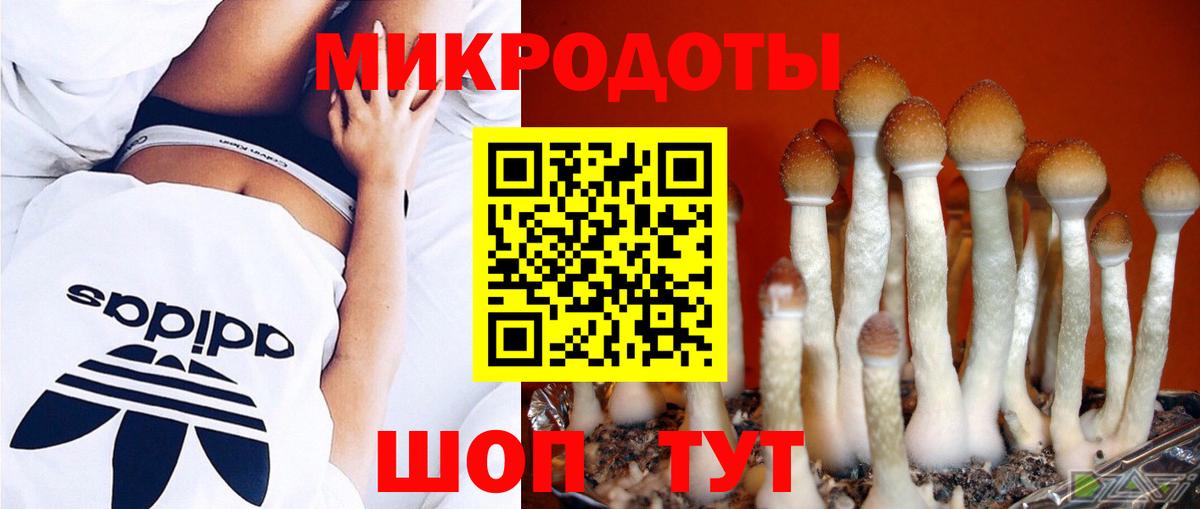 Чусовой  Псилоцибиновые грибы Cubensis  Вход с VPN 
